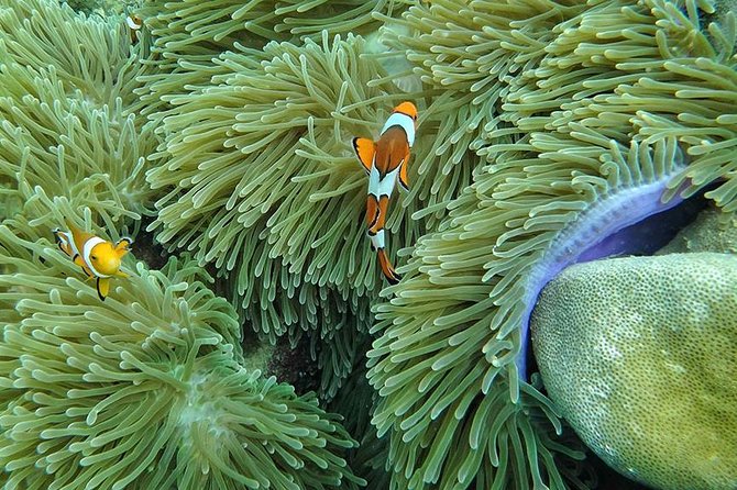 Lanta 4 Islands + Emerald Cave Snorkeling Tour - The boat ride is the biggest variable