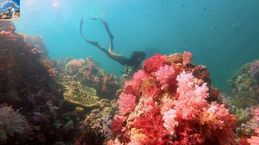 Lipe: Longtail Boat Snorkeling to Outer Islands Program B - Photos, equipment, and help in the water