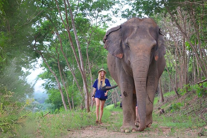 Living Green Elephant Sanctuary Tour from Bangkok and Pattaya - Key Details Before You Book