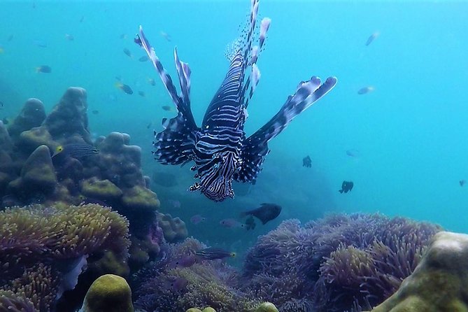 Local Reef Snorkelling and Deserted Beach - The best season, and the real weather risk