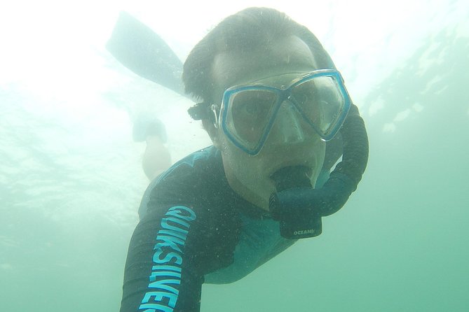 Local Reef Snorkelling and Deserted Beach - Snorkelling at the local reef