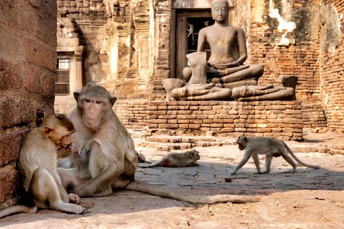 Lopburi Monkey Temple & Ayutthaya Old City Tour From Bangkok - The 8:00 am departure and transport