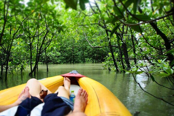 Luxury Private Motor Yacht Charter by Simba Sea Trips - Sea canoeing around Hong Island