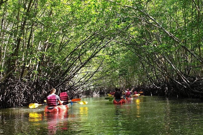 Mangrove Tour by Kayaking in Ko Lanta With Lunch - Key details before you paddle