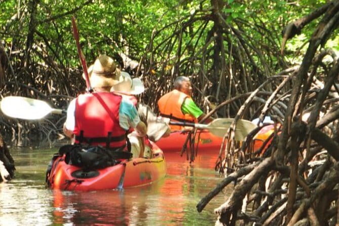 Mangrove Tour by Kayaking in Ko Lanta With Lunch - Paddling through the mangrove channels
