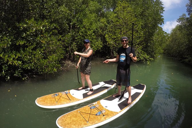 Mangroves SUP Tour Phuket - From the mangroves toward Phang Nga Bay