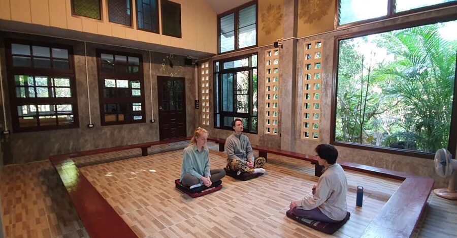 Meditation Retreat and Self-Care in Nature - Mindful walking among nature