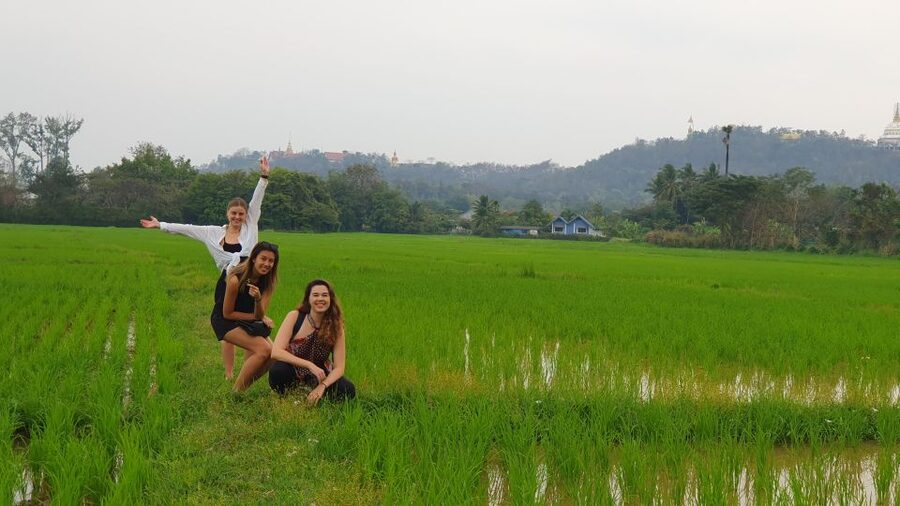 Meditation Retreat and Self-Care in Nature - Tea, coffee, fruit, and a taste of Thailand