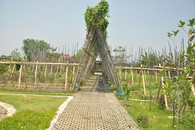 Morning Cooking Class in Organic Farm with Local Market Tour - Your own wok, knife, and cooking station