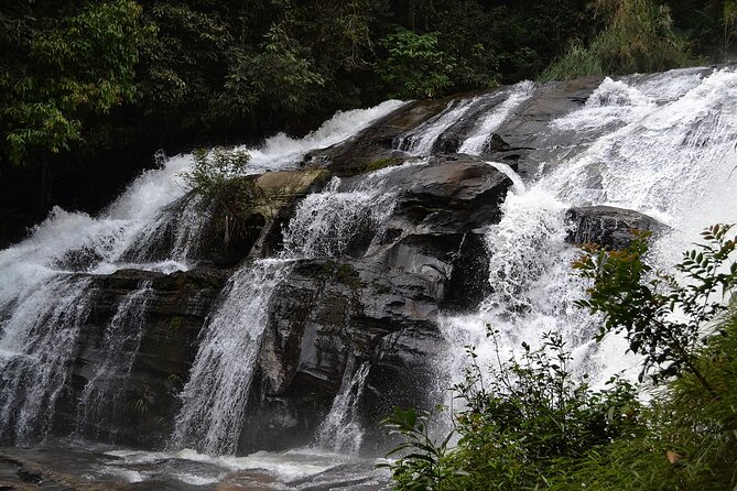 Mount Doi Inthanon National Park Sunrise and Hiking - Pha Dok Seaw Nature Trail and the Karen village