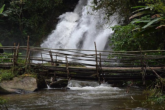 Mount Doi Inthanon National Park Sunrise and Hiking - Who will enjoy this tour most