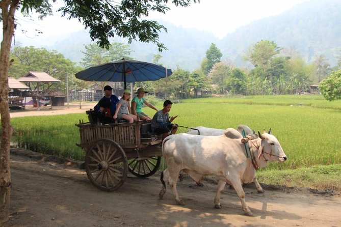 Nakhon Nayok adventure full day trip with lunch - What to know before you book