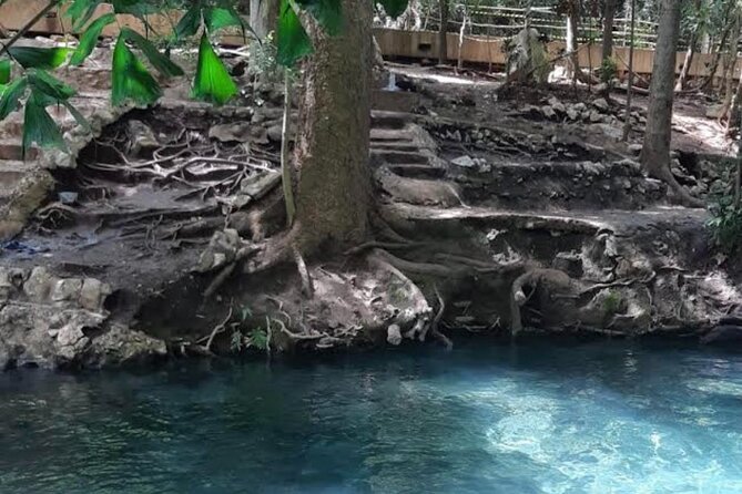 Natural Park Khao Yai with Mr Nong - Why a private Khao Yai day can be worth it
