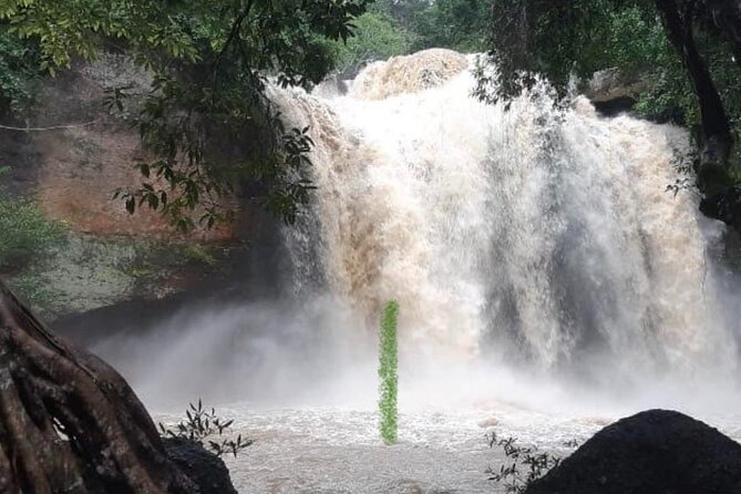 Natural Park Khao Yai with Mr Nong - Guide style and the value of Mr Nong
