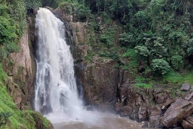Natural Park Khao Yai with Mr Nong - Searching Khao Yai for animals