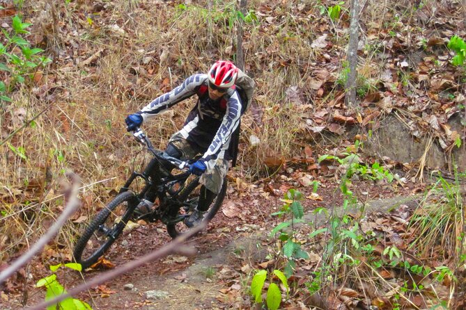 No.1 Chiang Mai: Advanced Downhill Mountain Biking, Suthep N.Park - What the $74.95 Price Really Buys