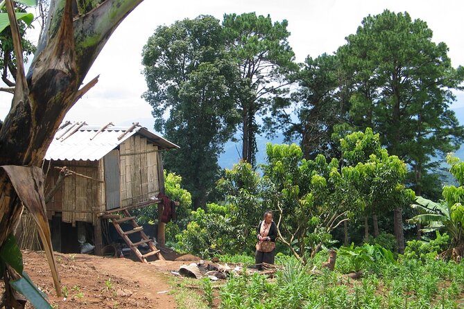No.1 Chiang Mai: Advanced Downhill Mountain Biking, Suthep N.Park - Practical Advice Before You Go
