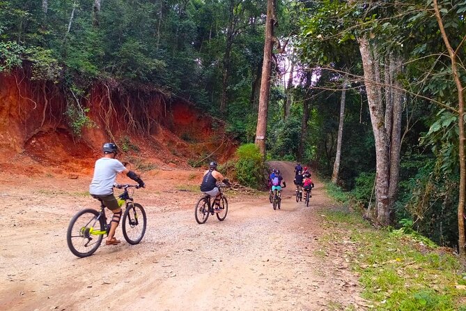 No.1 Chiang Mai: Epic Doi Suthep Downhill MTB Adventure - Is $74.97 a fair price?