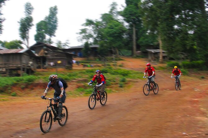 No.1 Chiang Mai: Epic Doi Suthep Downhill MTB Adventure - The 45-minute climb into Doi Suthep-Pui National Park
