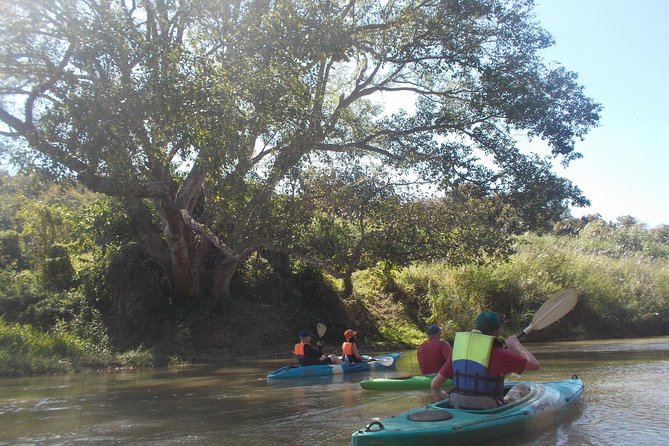 No.1 Chiang Mai: Leisure River Kayaking: Mae Taeng forest Reserve - A softer side of Chiang Mai on the Mae Ping