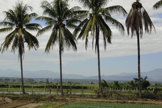 No.1 Chiang Mai: Leisure River Kayaking: Mae Taeng forest Reserve - Lunch at the Mango Plantation Restaurant