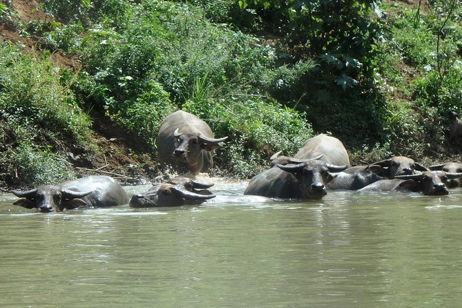 No.1 Chiang Mai: Leisure River Kayaking: Mae Taeng forest Reserve - What the support truck adds