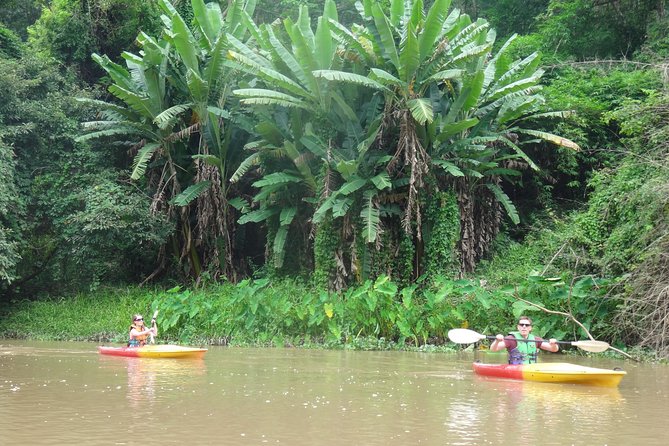 No.1 Chiang Mai: Leisure River Kayaking: Mae Taeng forest Reserve - Group size, timing, and the real value of $74.95