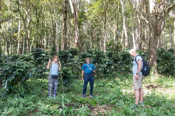 Off the Map Chiang Mai Jungle Coffee Trek Roast and Brew - Roasting green beans over the fire