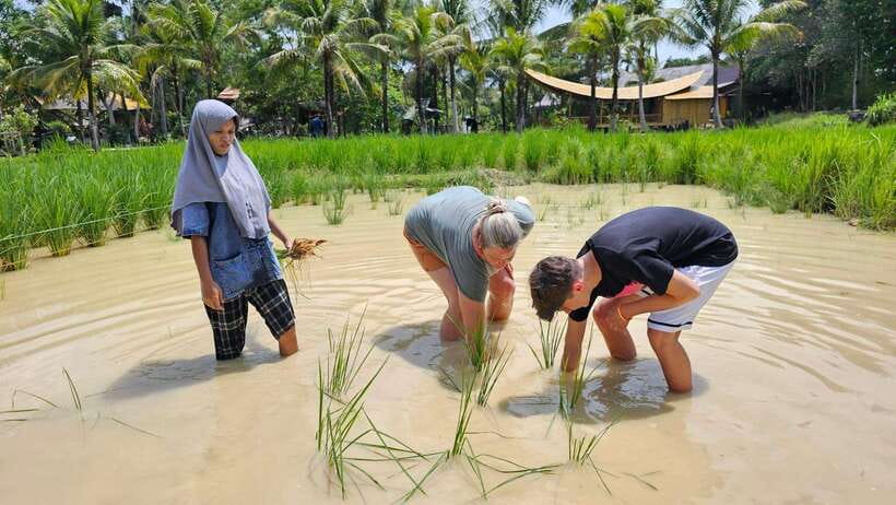 Old Phuket Farm Ticket - Countryside Local Life Culture - Timing, price, and who will get the most from it