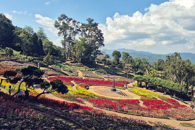 One Day Group Tour Experience in Chiangrai - Choui Fong Tea Plantation and tea tasting