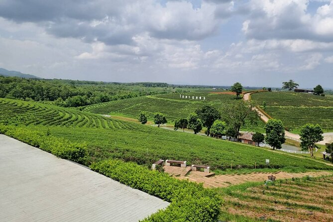 One Day Group Tour Experience in Chiangrai - The Golden Triangle and the Mekong River