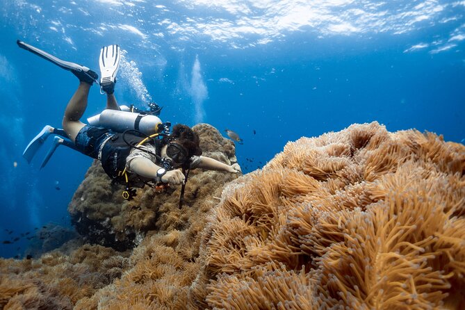 Open Water Course - Become certified diver in 3 days - Meeting the instructors at Koh Tao Scuba Club
