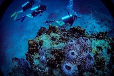 Open Water Course – Become certified diver in 3 days