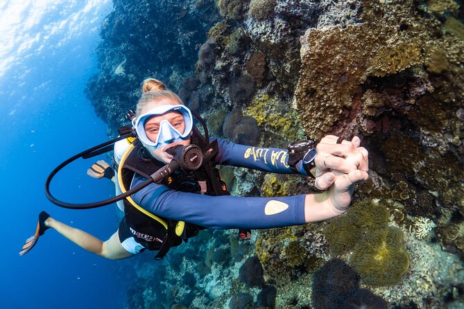 Open Water Course - Become certified diver in 3 days - What the boat trips add to the course