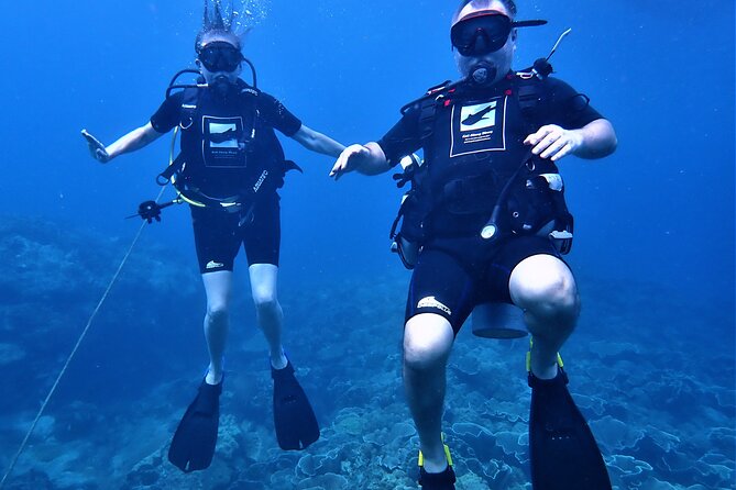 PADI Discover Scuba Dive Experience - Key points before you book