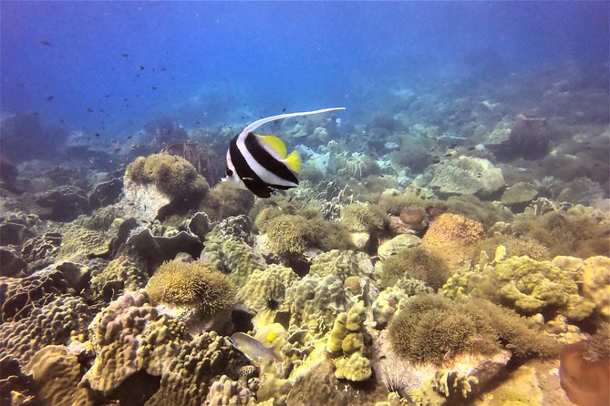 PADI Discover Scuba Dive Experience - Safety, fitness, and medical requirements