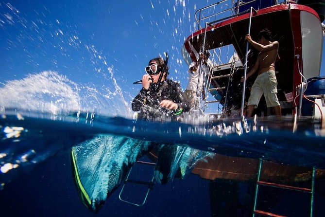 PADI Discover Scuba Diving Experience Full Day Trip - A full day built for first-time scuba