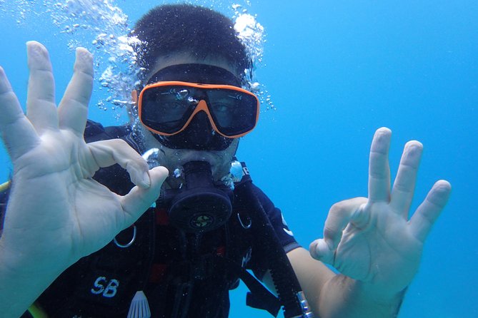 PADI Discover Scuba Diving in Koh Tao - half day and two dives - The boat, equipment, and instructor support