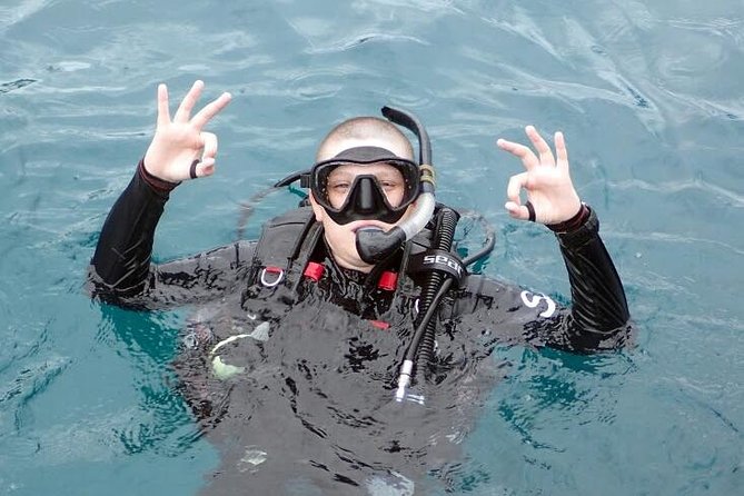 PADI Discover Scuba Diving in Koh Tao - half day and two dives - Meeting at Mae Haad and planning your timing