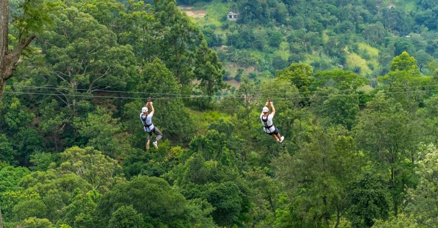 Pai: Jungle Ziplining Adventure with 16 Platforms - Key Points Before You Book