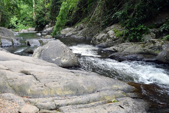 Pala U Waterfall in Kaeng Krachan Jungle with Private Guide from Hua Hin - Lunch in the middle of the forest day