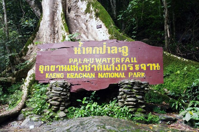 Pala U Waterfall in Kaeng Krachan Jungle with Private Guide from Hua Hin - What the private format is really worth