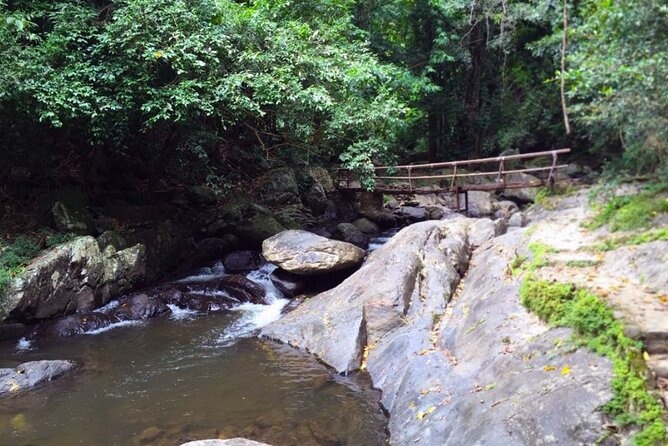 Pala U Waterfall in Kaeng Krachan Jungle with Private Guide from Hua Hin - Guide quality, timing, and the human factor