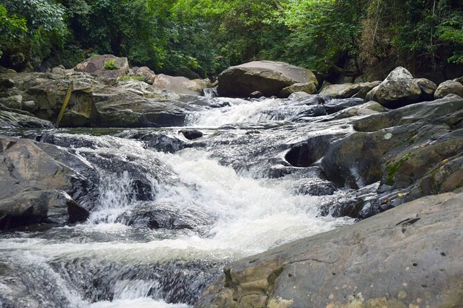 Pala U Waterfall in Kaeng Krachan Jungle with Private Guide from Hua Hin - The three-hour walk to Pa La-U Waterfall