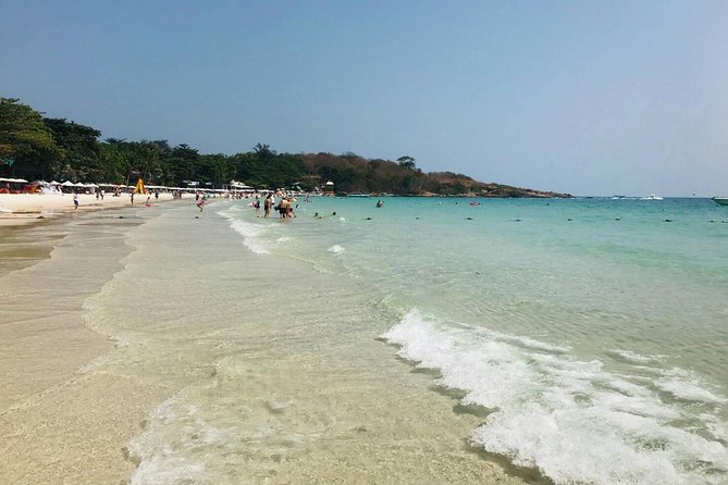 Pattaya : Coral Island Tour by Speedboat with Indian Lunch & Pick Up from Hotel - From Pattaya Beach to the speedboat