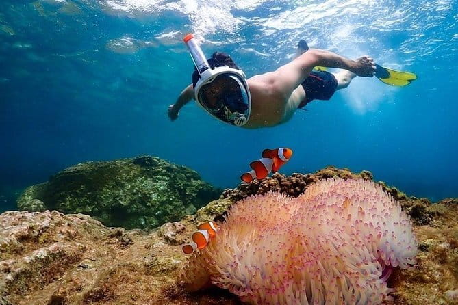 Pattaya Coral Island Tour with Indian Lunch and Hotel Transfer - Who will enjoy this Pattaya day trip?