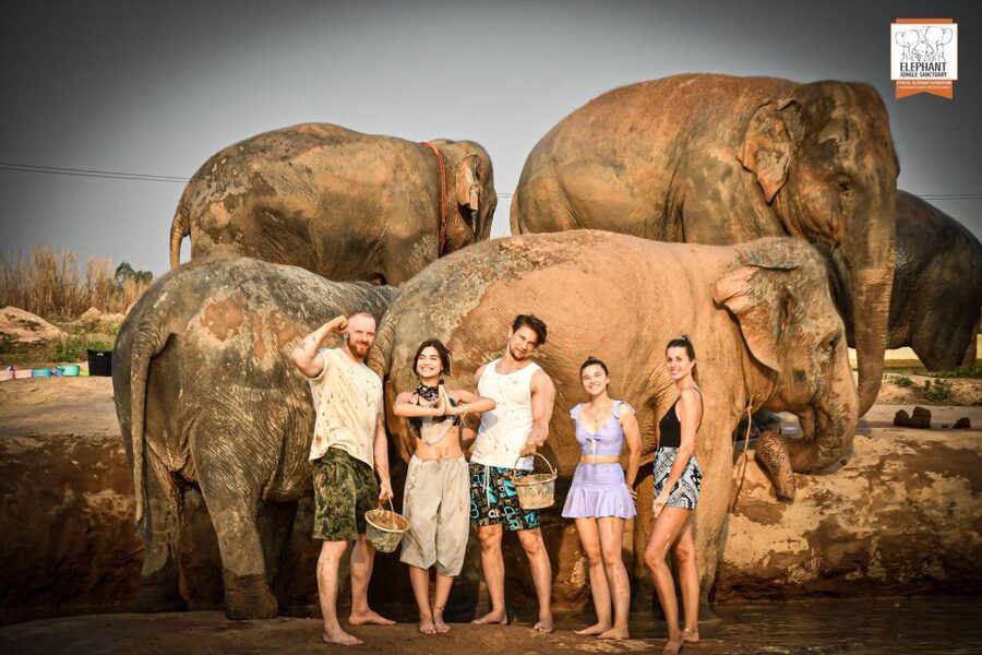 Pattaya: Elephant Jungle Sanctuary Feeding Experience - Key points before you book