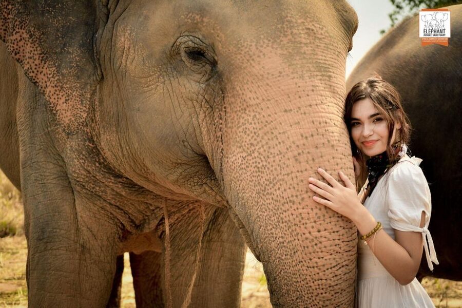 Pattaya: Elephant Jungle Sanctuary Feeding Experience - Photos, touching, and the value of personal space