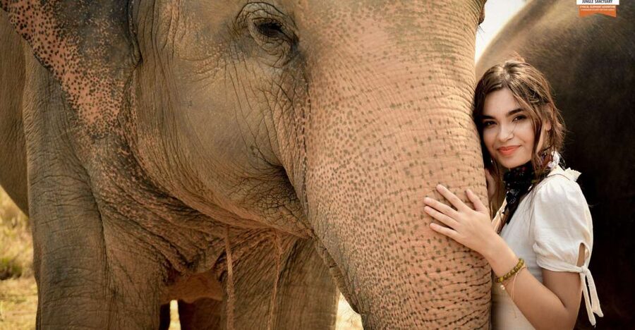 Pattaya: Elephant Jungle Sanctuary Feeding Experience - Arriving at the sanctuary in Chonburi Province