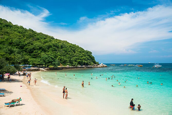 Pattaya Private Day Tour from Bangkok or Pattaya - Nong Nooch Botanical Garden needs the most time and energy